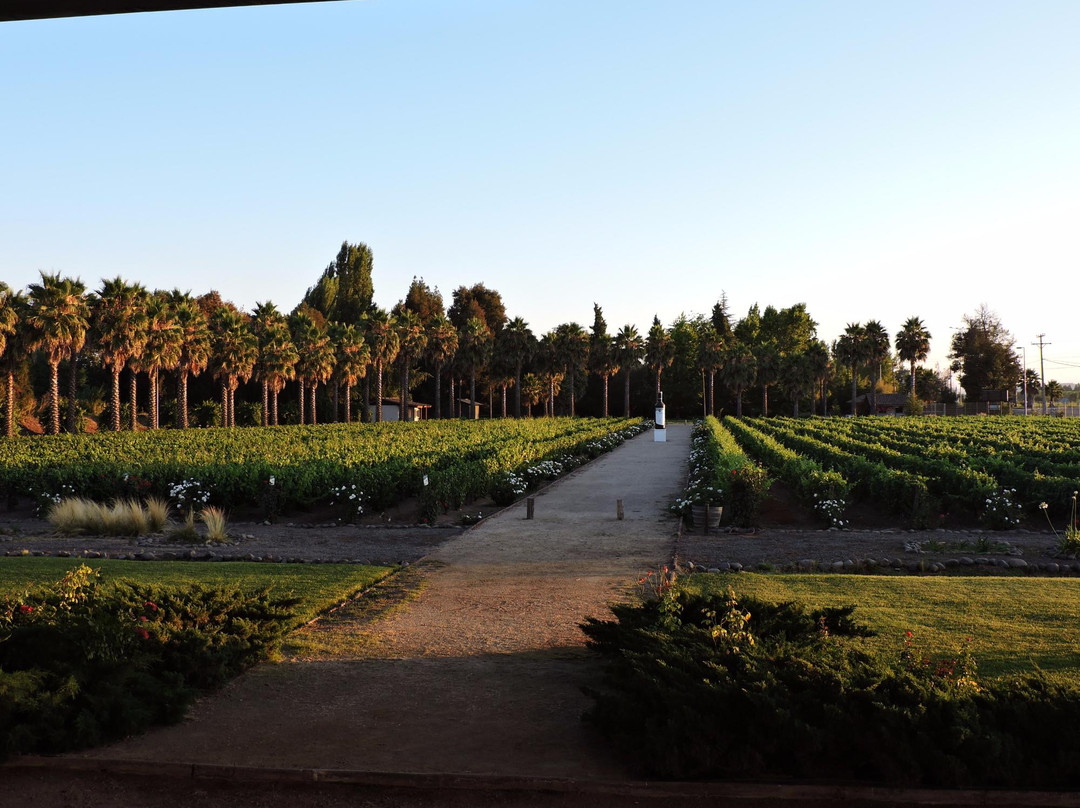 Estampa Winery景点图片