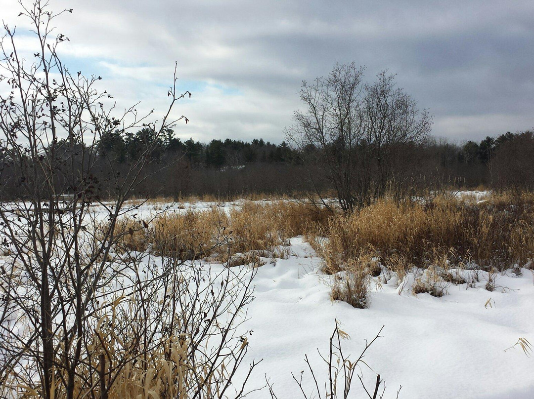 Nara Nature Park-霍顿必去景点