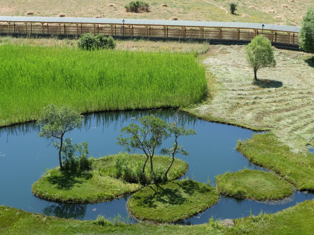 Yuzen Ada-Bingol必去景点