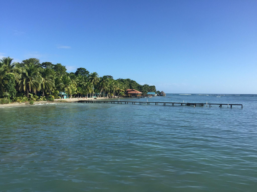 Carenero Island旅游攻略图片