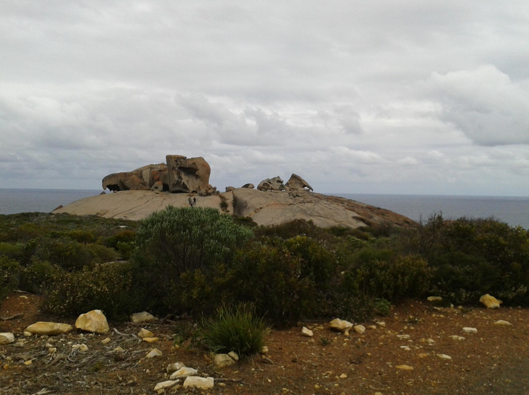 Kangaroo Island Transfers景点图片