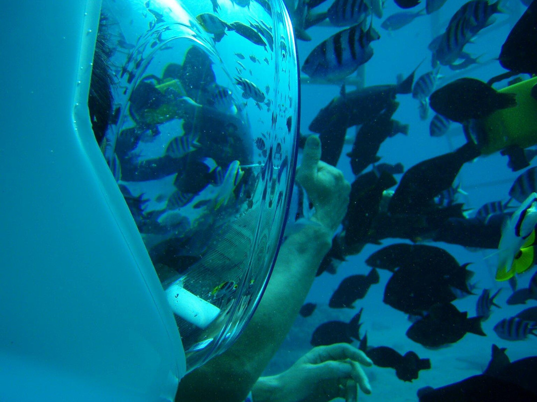 Seawalker Tours-Piti必去景点