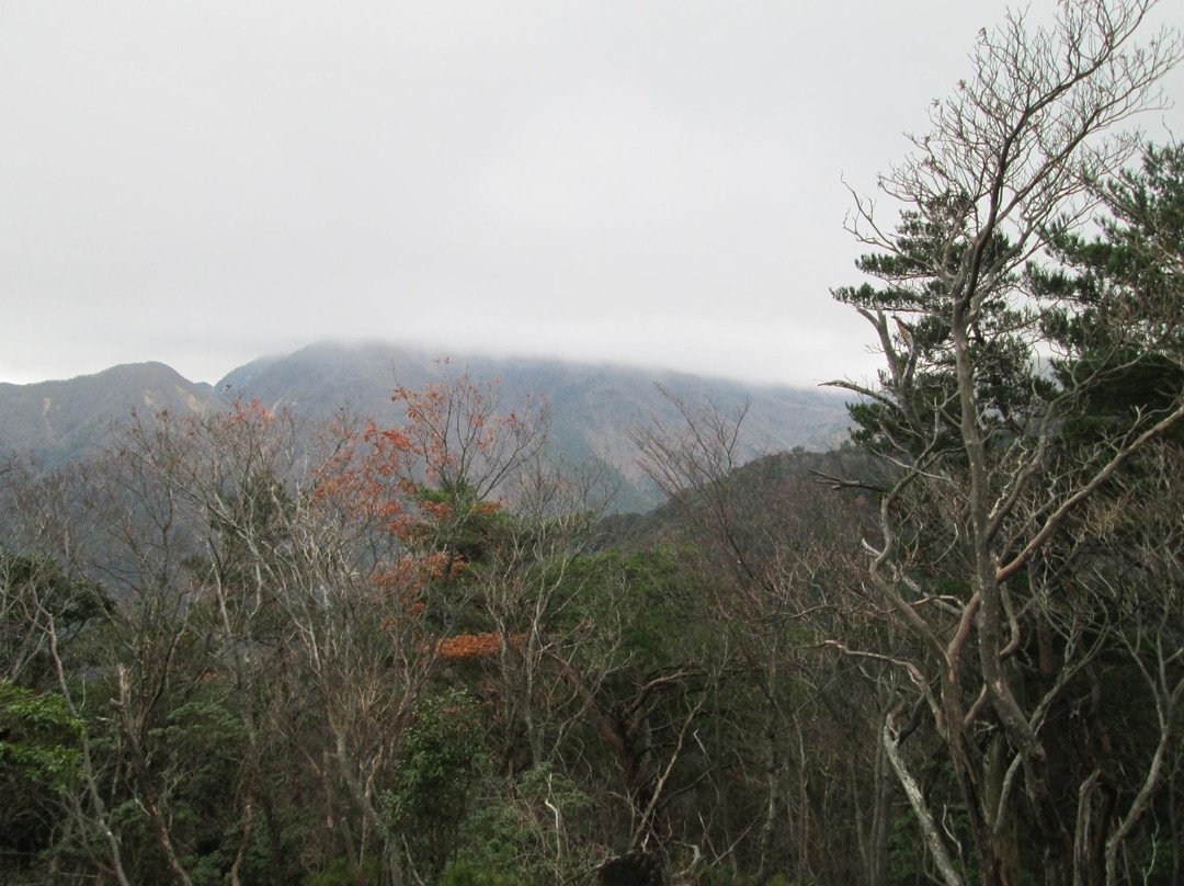 Mt. Shakagatake景点图片