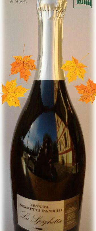 Tenuta Seghetti Panichi-Castel di Lama必去景点