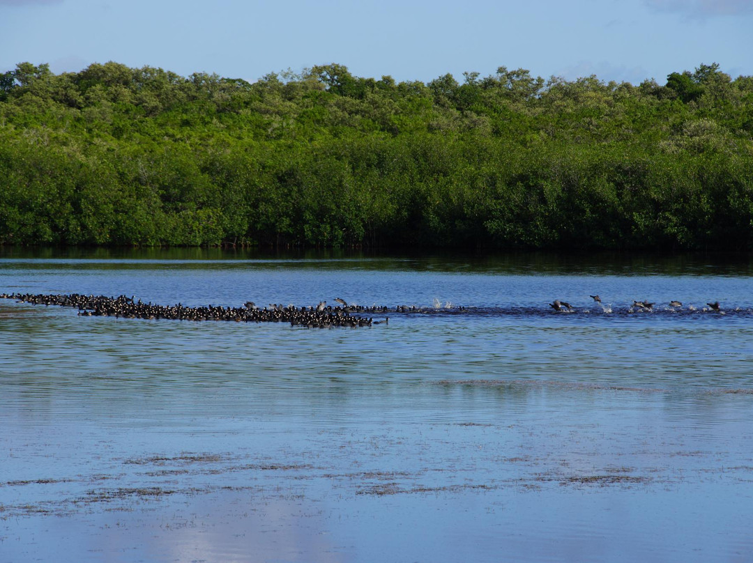 West Lake Trail-大沼泽国家公园必去景点