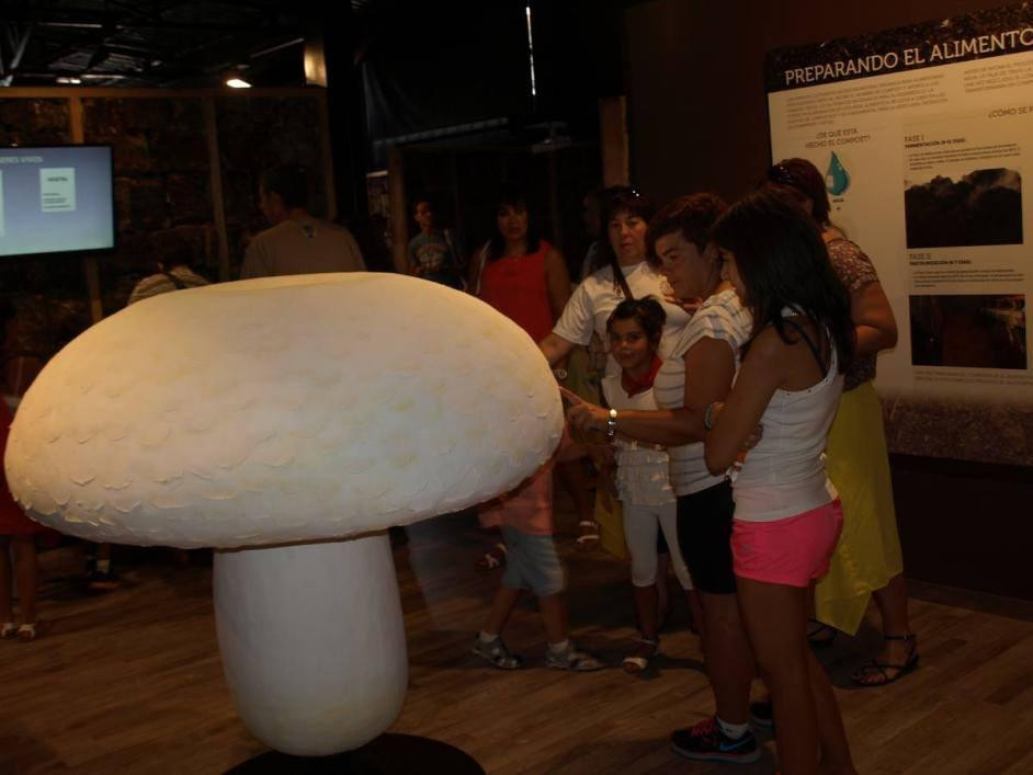 Fungiturismo-Pradejon必去景点