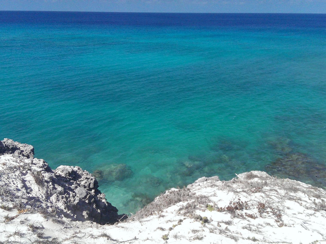 Salt Cay旅游攻略图片