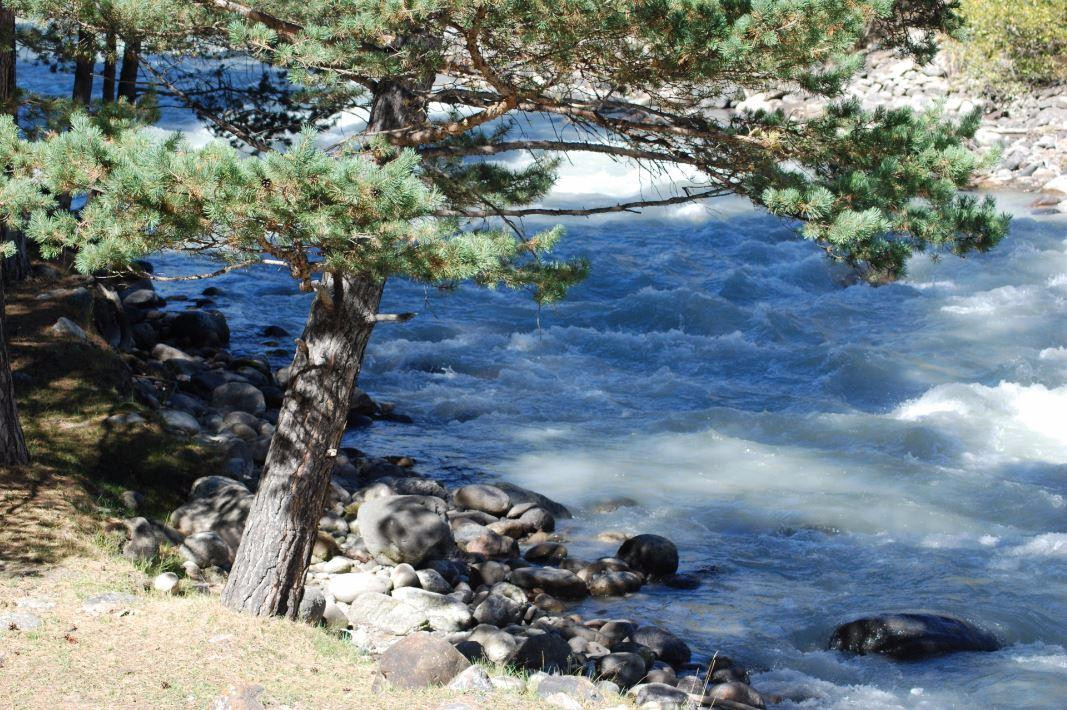 Elbrus Holiday Village Hotel主图