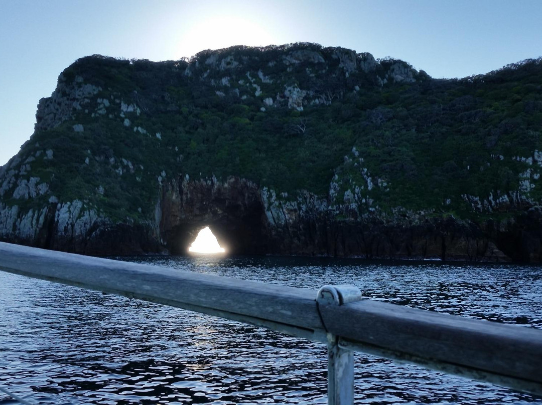 Oceanblue Adventures-Tutukaka必去景点