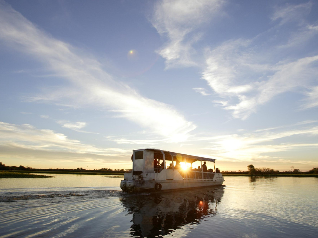 Yellow Water Cruises景点图片