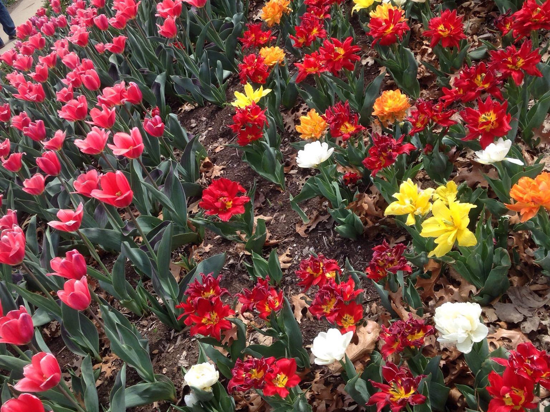 Ted Ensley Gardens-托皮卡必去景点