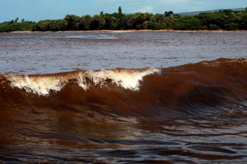 Seductions of Kauai Gallery-利胡埃必去景点