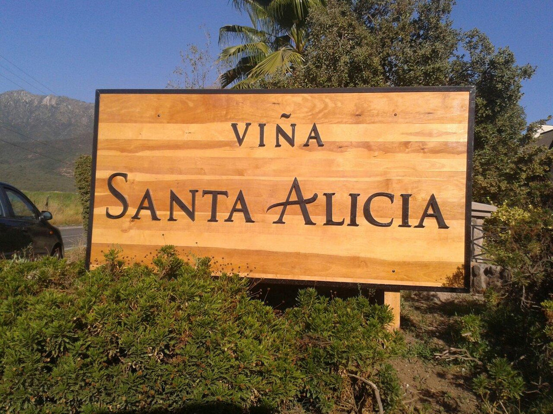 Vina Santa Alicia景点图片