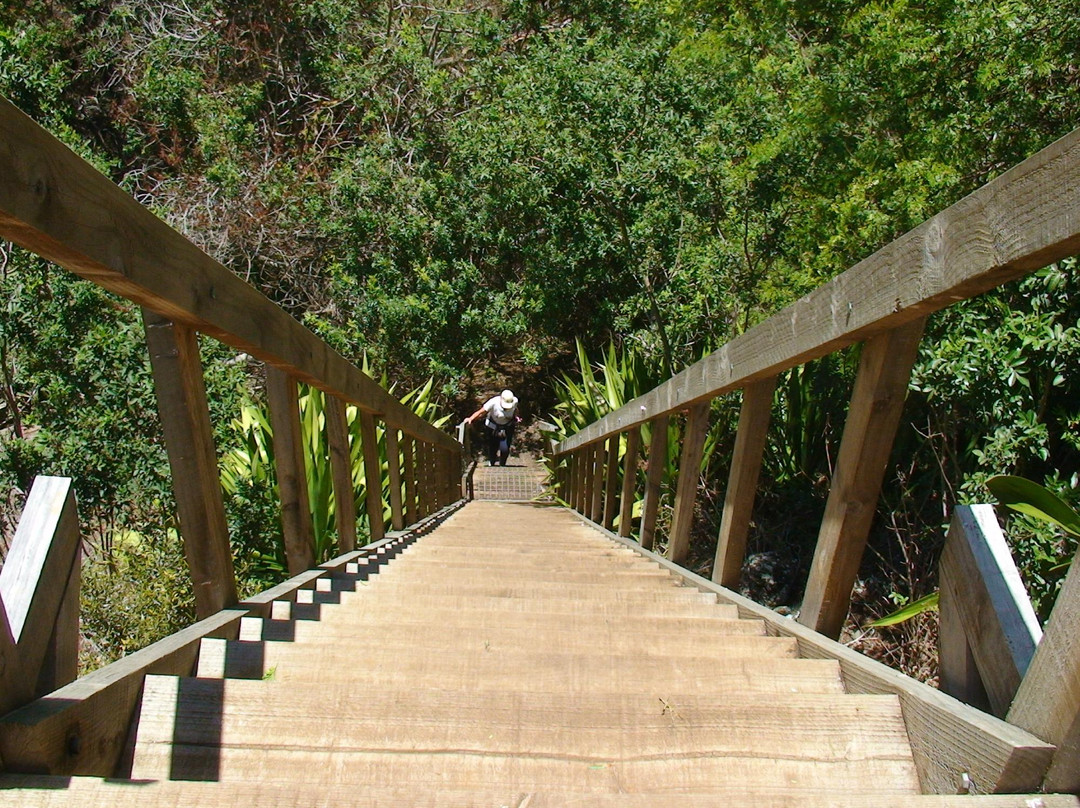 Heart Shaped Waterfall-St Helena Island必去景点