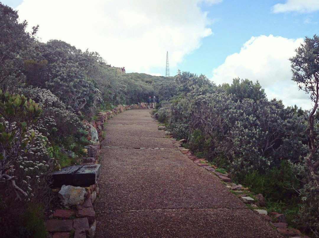 Cape of Good Hope-桌山国家公园必去景点