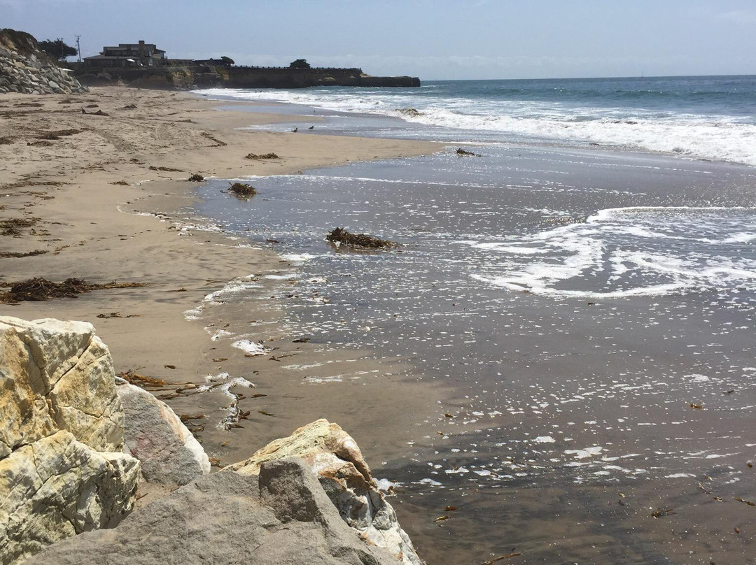 Twin Lakes State Beach-圣克鲁斯必去景点