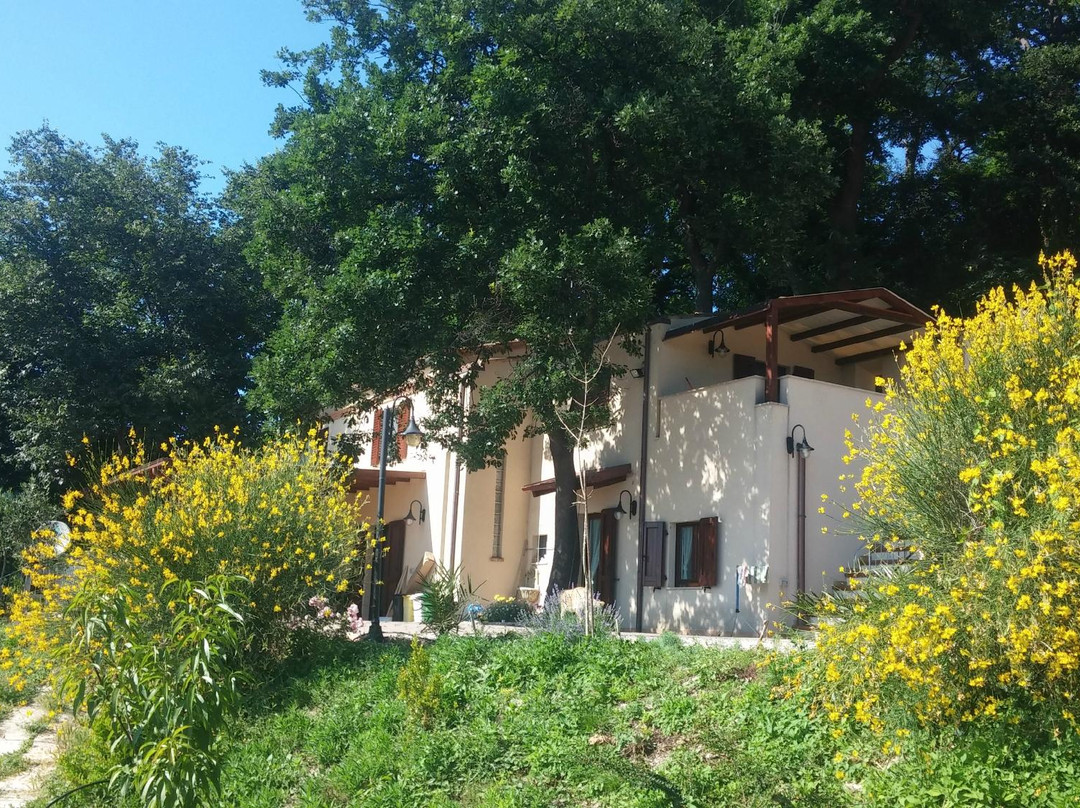 Montacuto酒店住宿-Le Querce