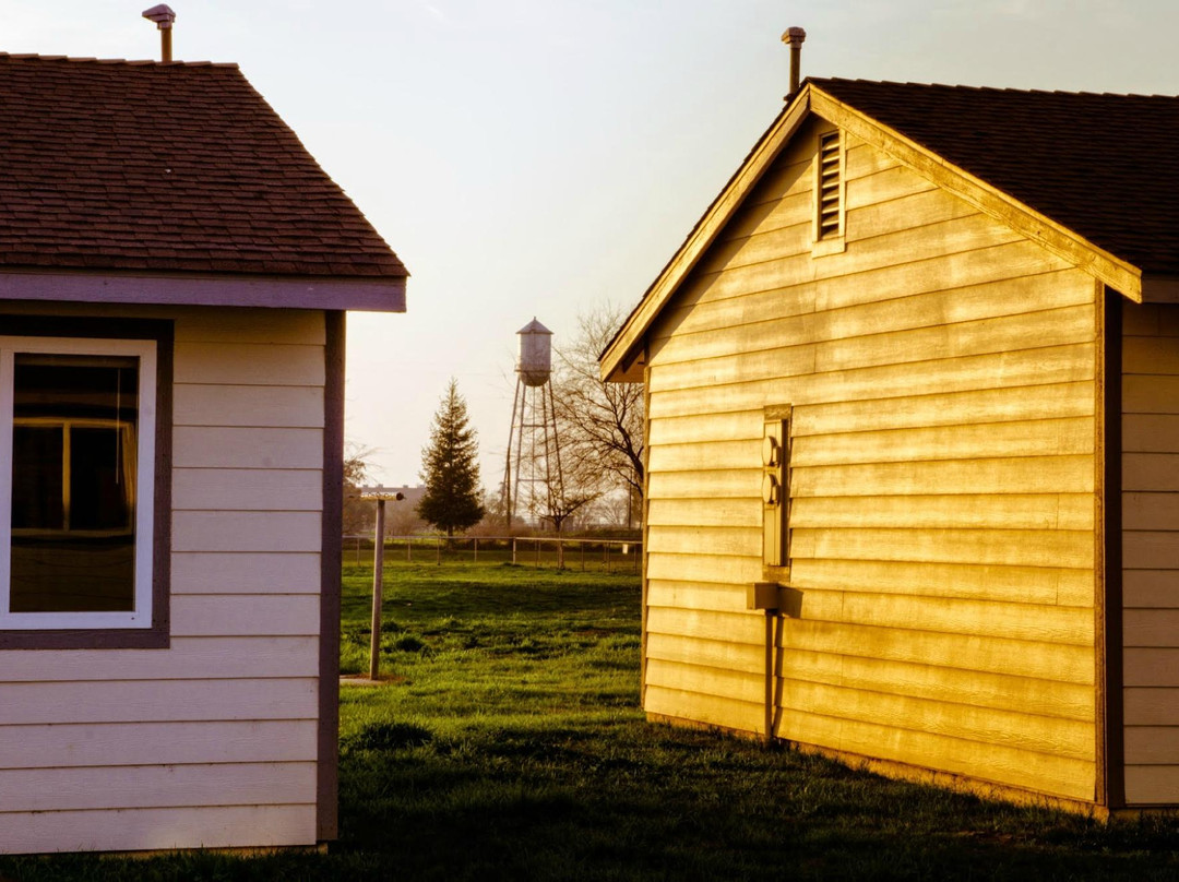Weedpatch Camp-贝克斯菲尔德必去景点