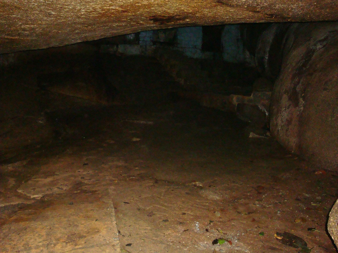 Parque Ecologico da Gruta Santa Luzia-Maua必去景点