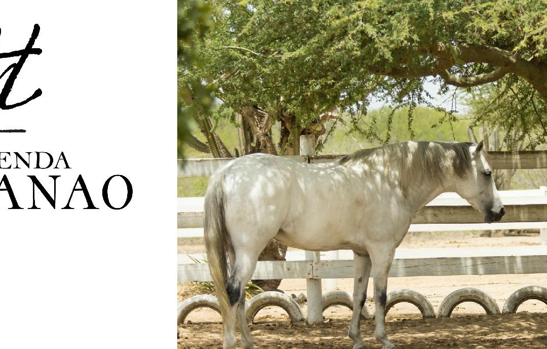 Hacienda Macanao-波拉马尔必去景点