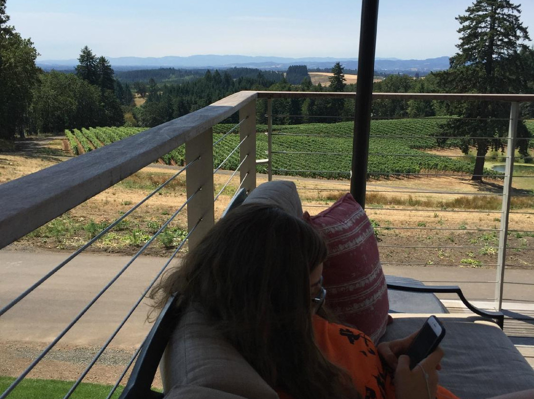 Alexana Winery景点图片