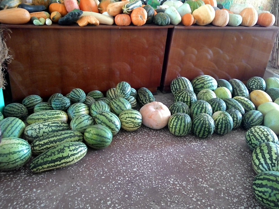 Obraztsovo旅游景点-Russian Watermelon Museum (Rossiyskiy Arbuz)