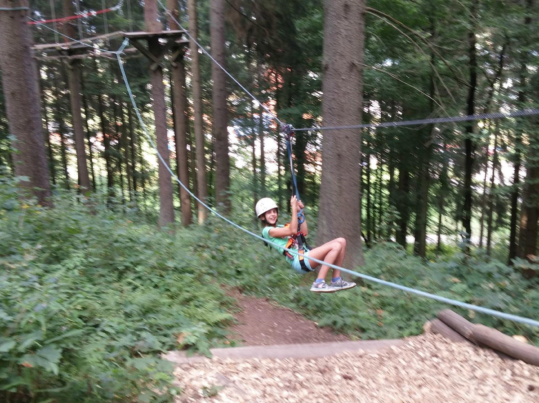 Action Forest Kletterwald景点图片