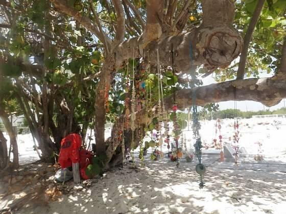 Cemetery Beach and Reef-大开曼岛必去景点