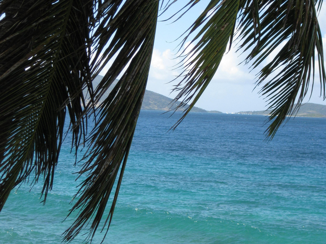 Apple Bay-托土拉必去景点