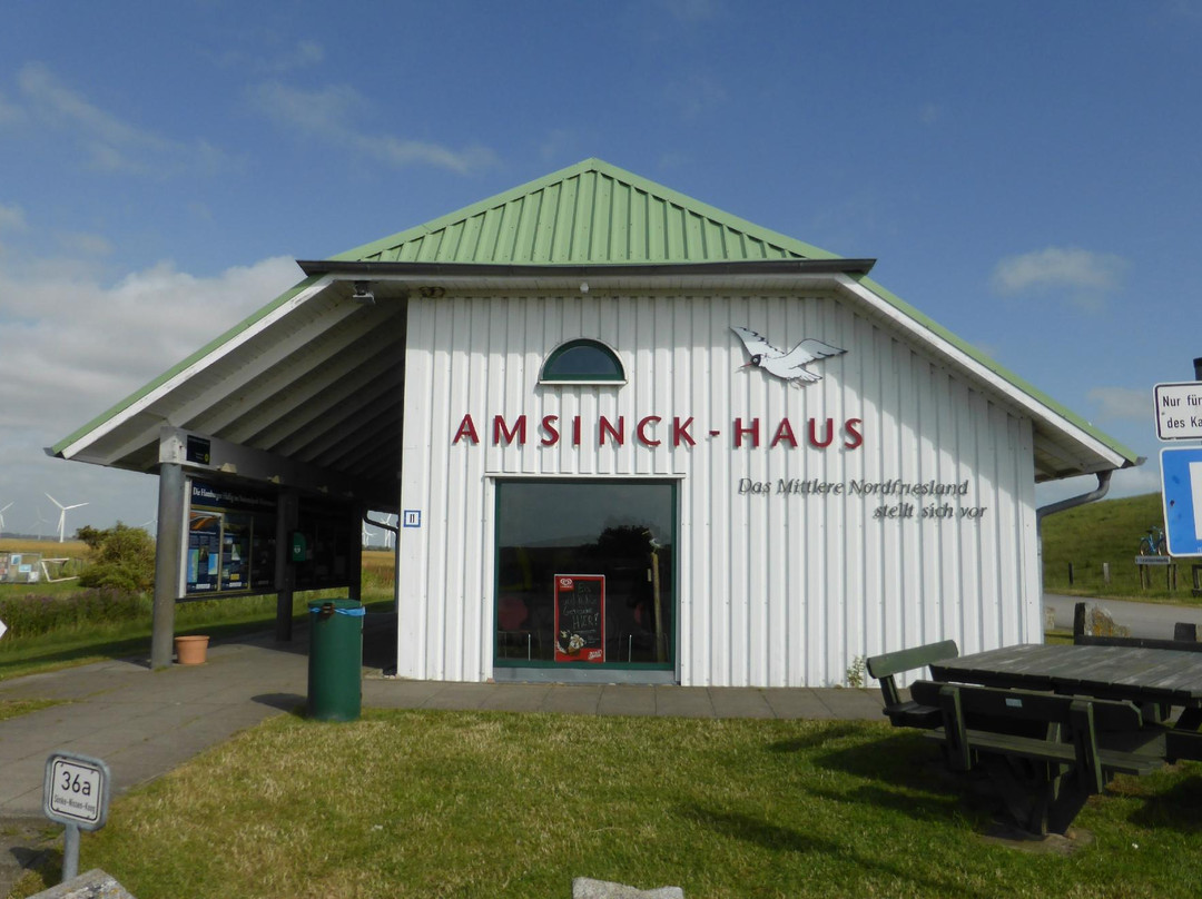 Amsinck-Haus景点图片