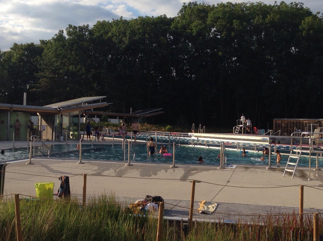 Piscine Du Wacken景点图片