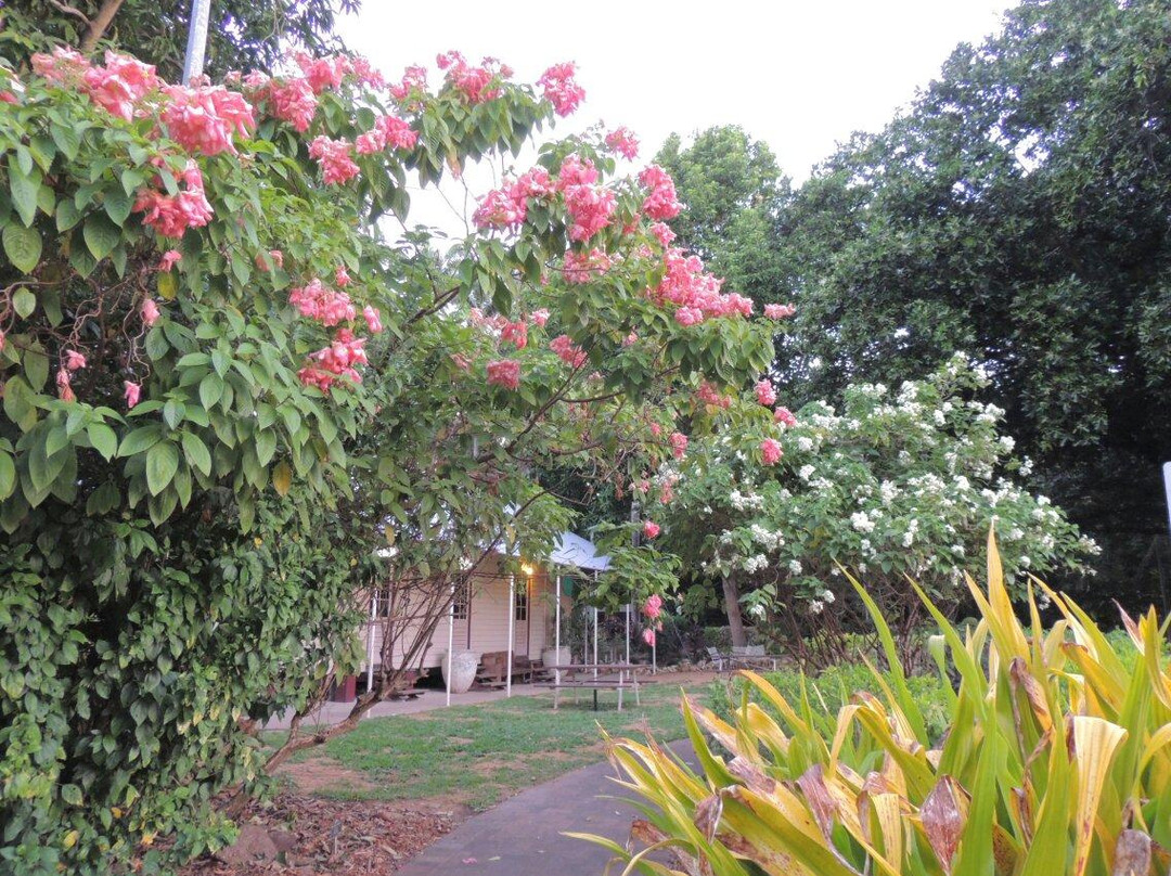 George Brown Darwin Botanic Gardens-达尔文市必去景点