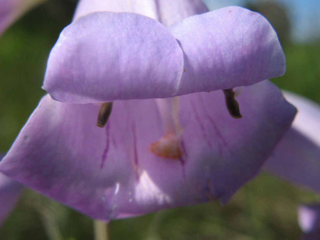 Elk Mountain Nature Trail-Wind Cave National Park必去景点