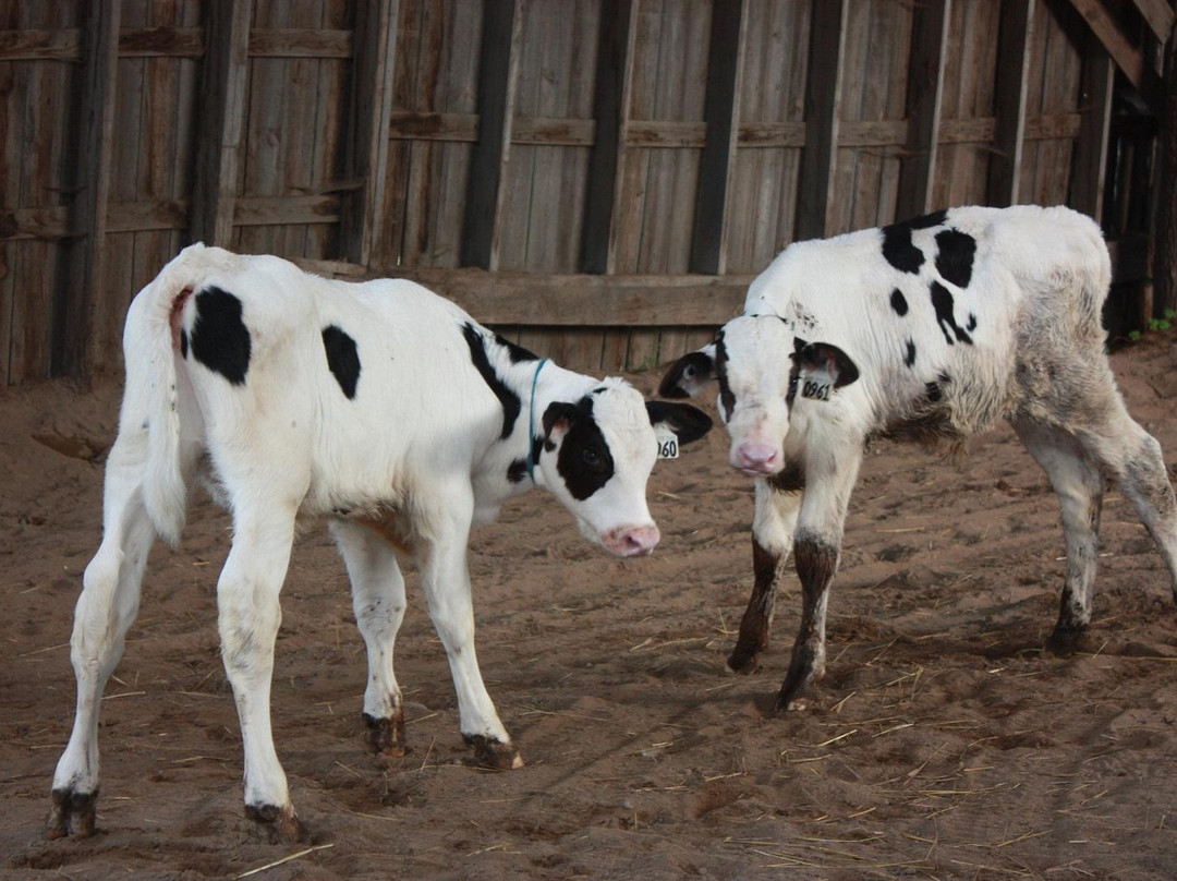 La Ferme Cabriole-Papineauville必去景点