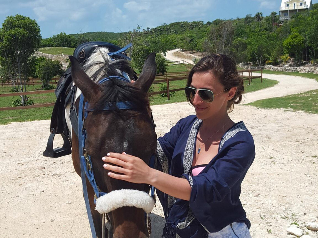 Oceanview Farm-Governor's Harbour必去景点