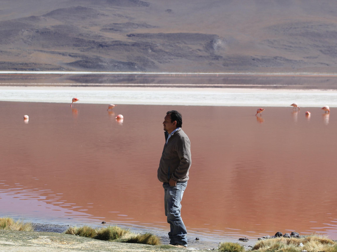 Laguna Colorada-乌尤尼必去景点