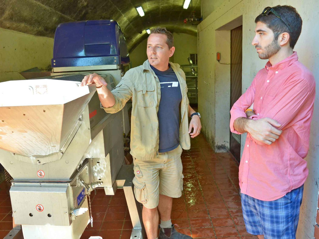 Adamastor & Bacchus - Tours-开普敦中心区必去景点