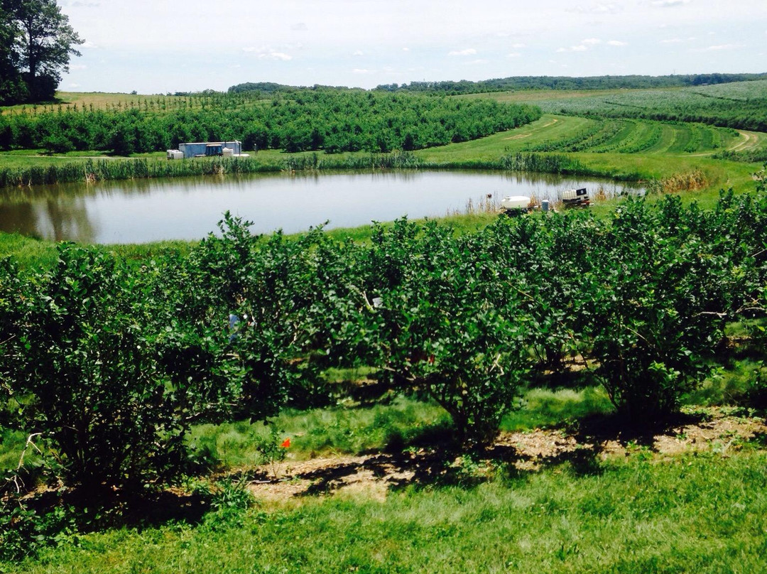 Shaw Orchards景点图片