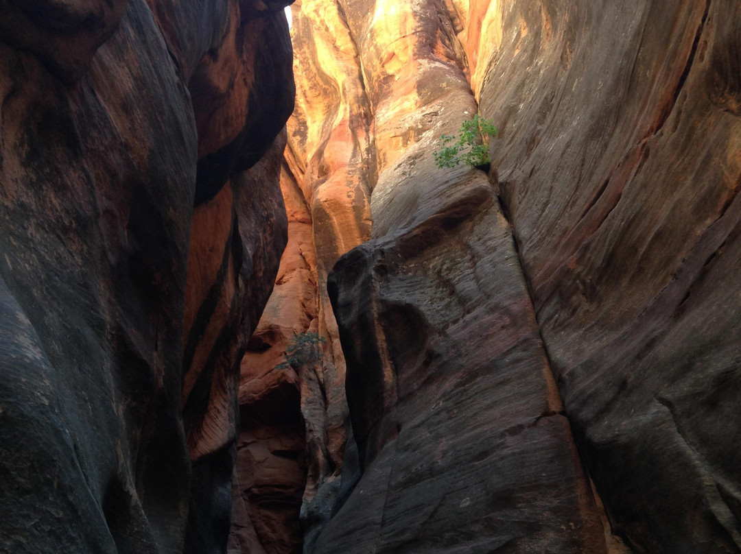 Kanab trailhead-卡纳布必去景点