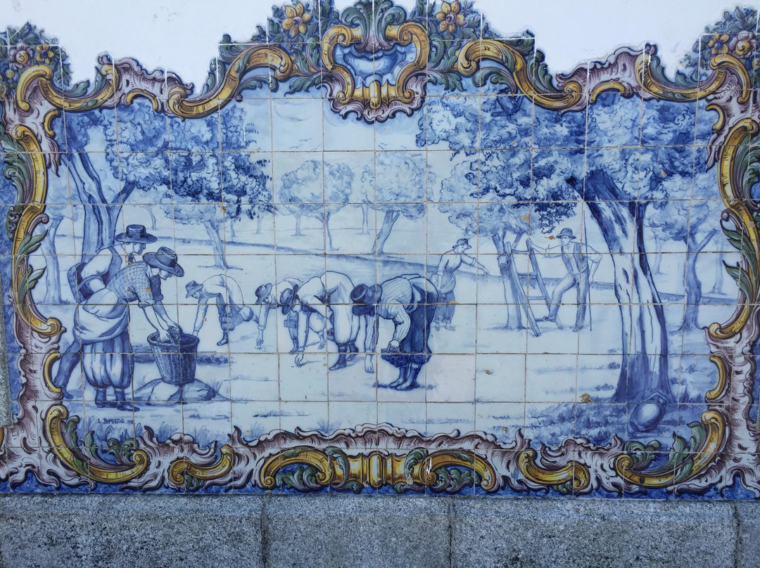 Estação de Cabeço de Vide景点图片