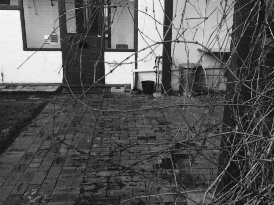 Lochinvar House B&B主图