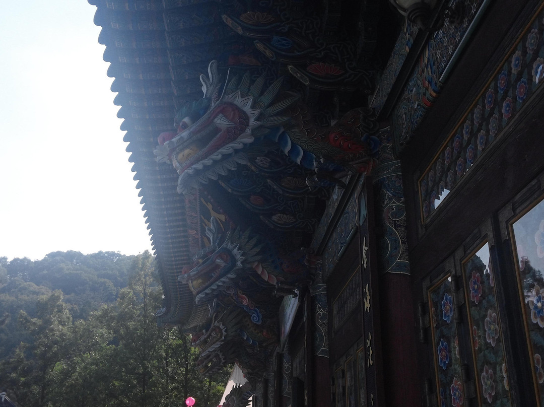 Musangsa Temple-鸡龙市必去景点