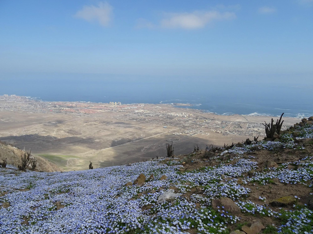 Quebrada de la Chimba Reserva Nacional-安托法加斯塔必去景点