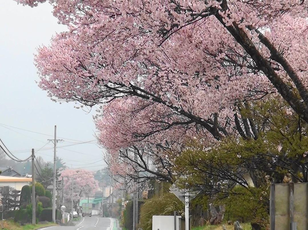 Miharasi Farm-伊那市必去景点
