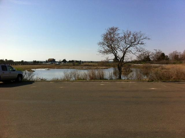 Meigs Point Nature Center-麦迪逊必去景点