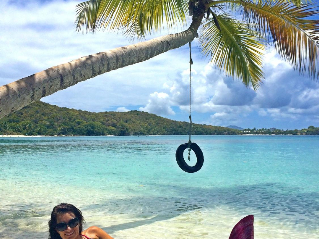 Mermaid Swim VI-克鲁兹湾必去景点