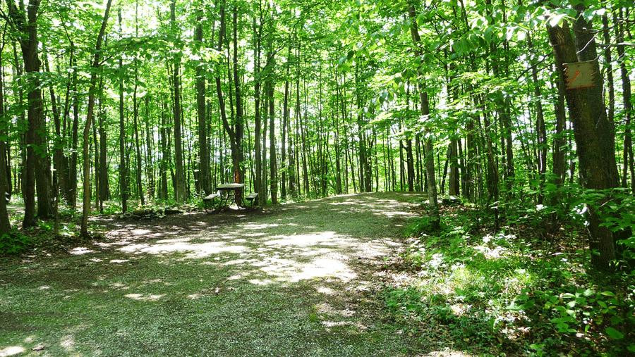 Baileys Woods Campground