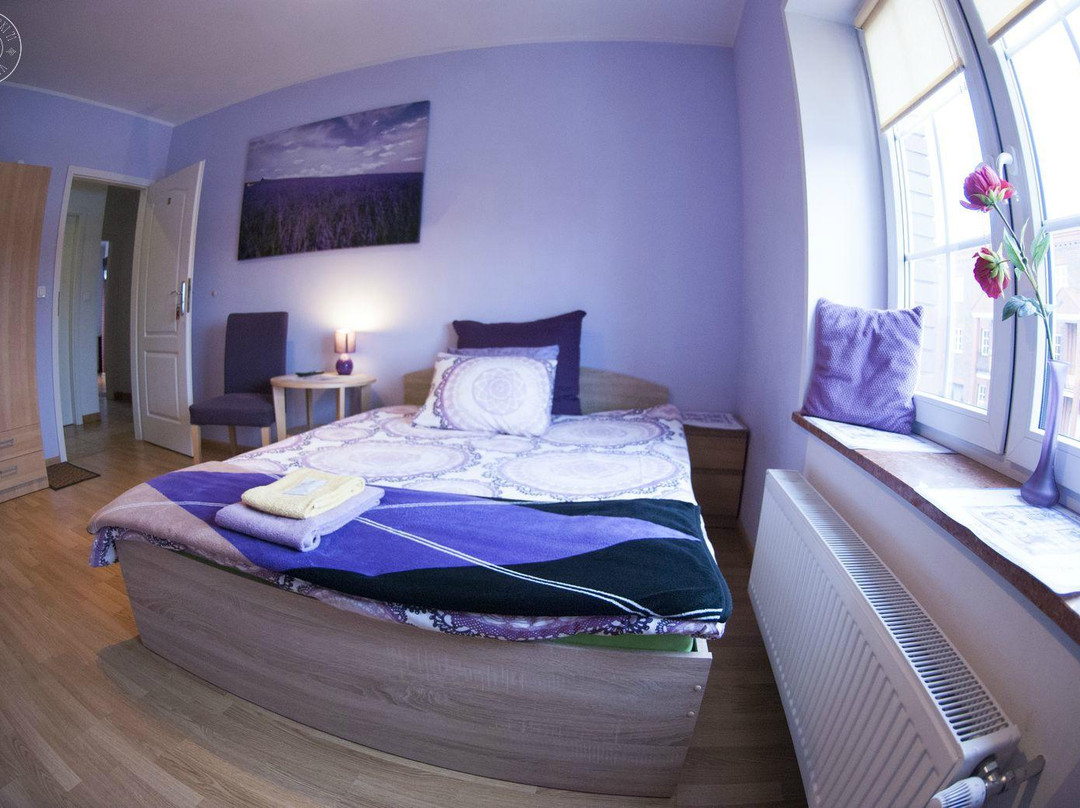 Bobrowiec酒店住宿-Villa Jeziorki 71