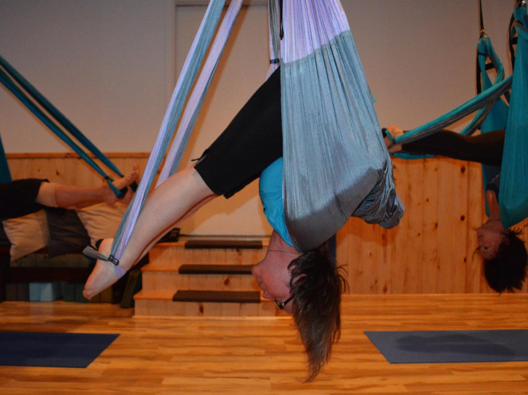 Kellyoga Studios景点图片