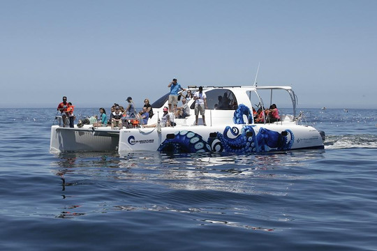 Ocean Adventure Bookings-开普敦中心区必去景点